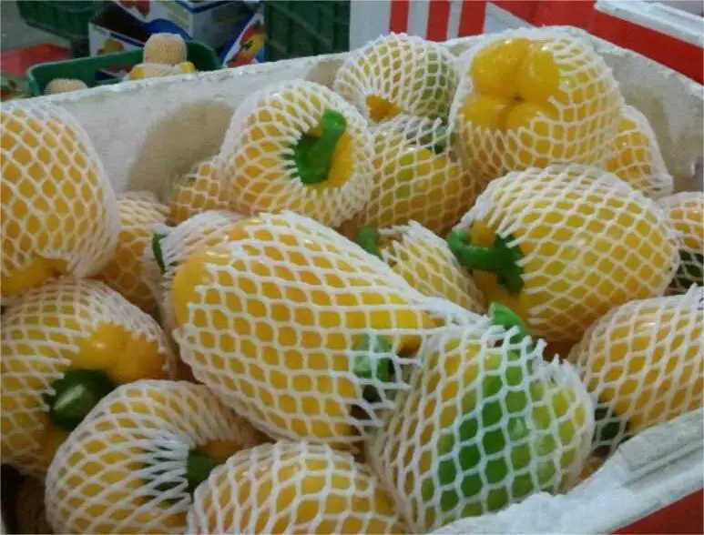 fresh sweet bell pepper fresh coloured capsicum green red yellow bell pepper