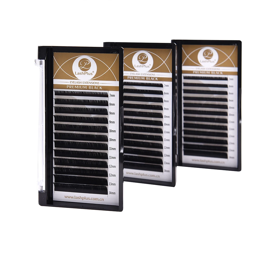 LashPlus Hot Selling Beauty Salon Lash Academy Fast Dispatch Portable Professional Individual Customized Eyelash Kits