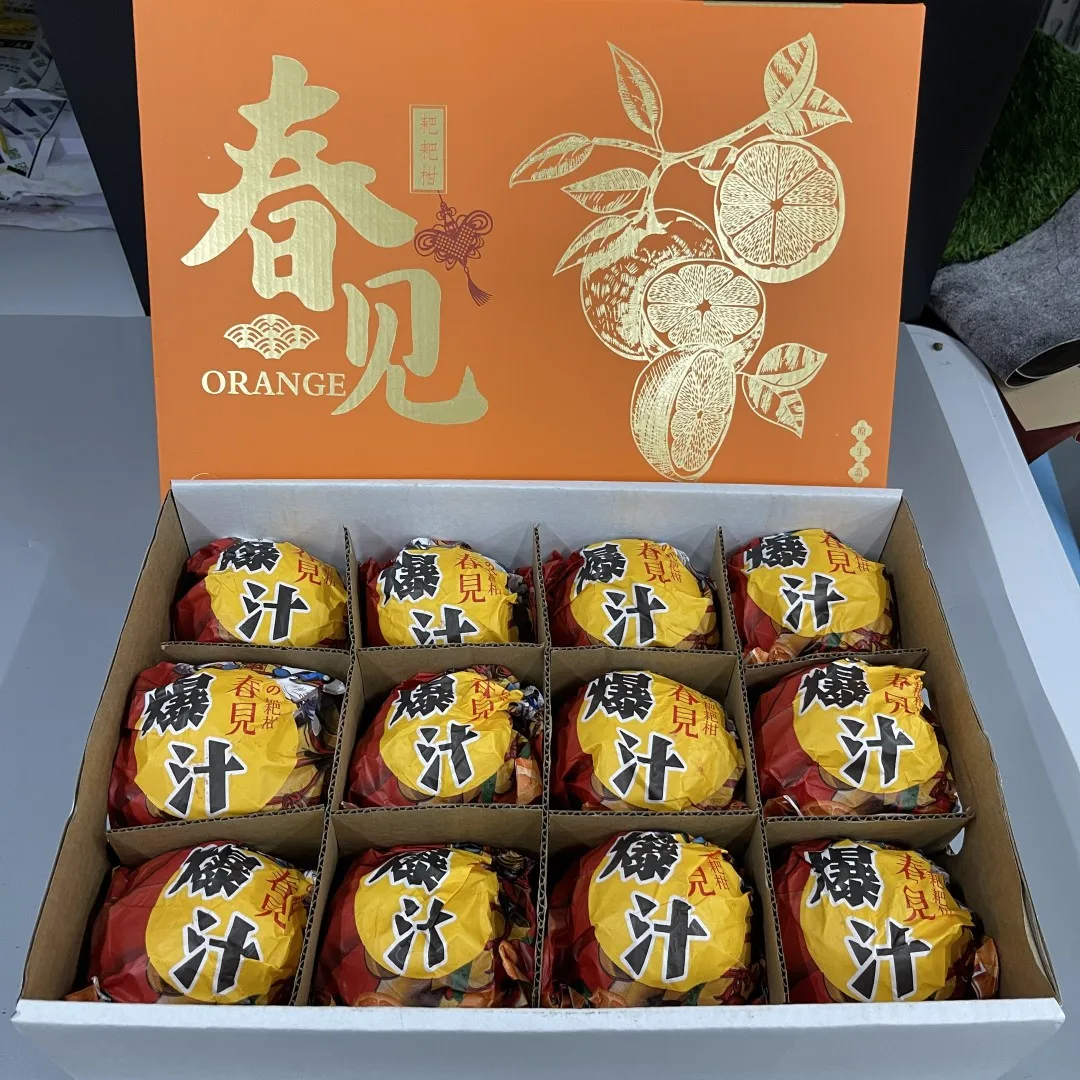 2024 Hot sale New Crop Succulent Fresh Papa Mandarin Orange Citrus with Pretty Package