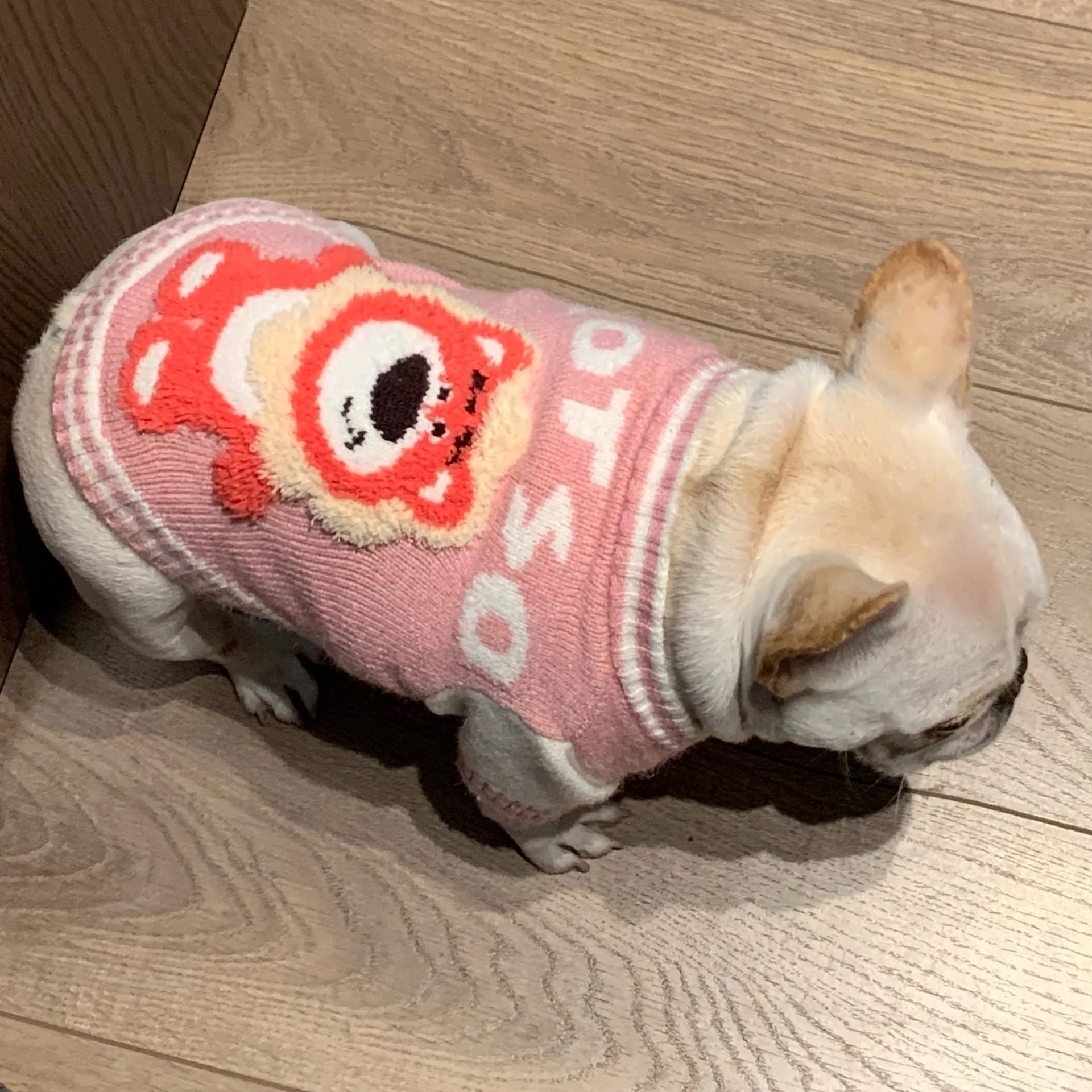 Japan And Korea Popular Cartoon Dog DKNY Jeans Super Cute Pink Bear Pet Sweater Coat