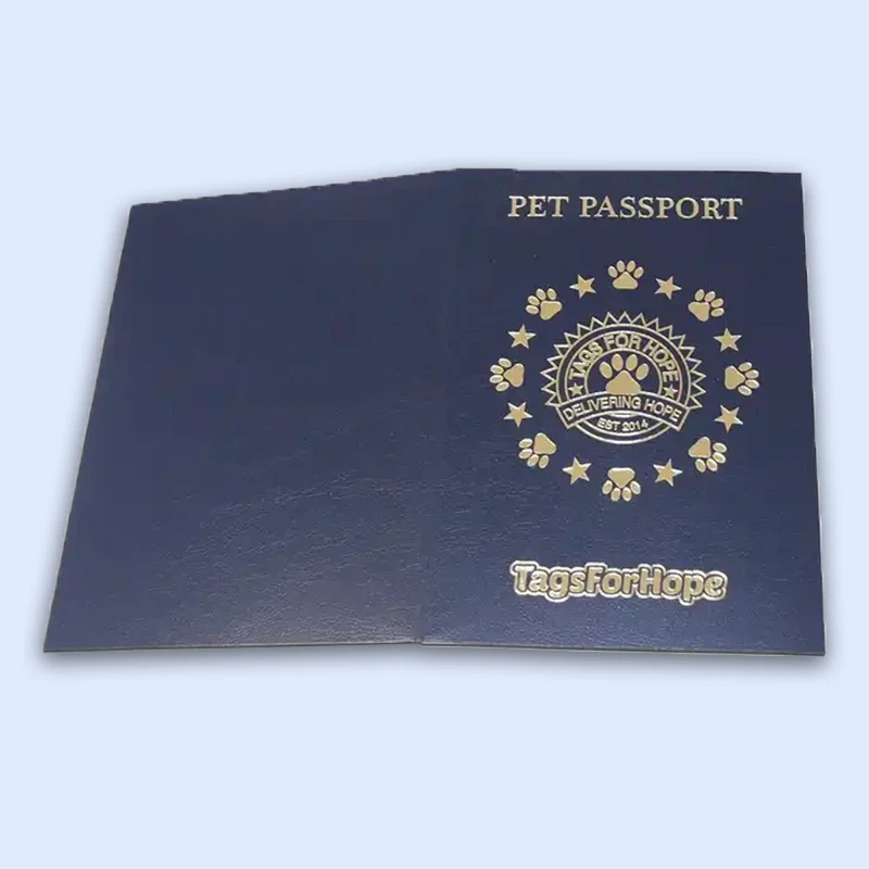 passport (6)