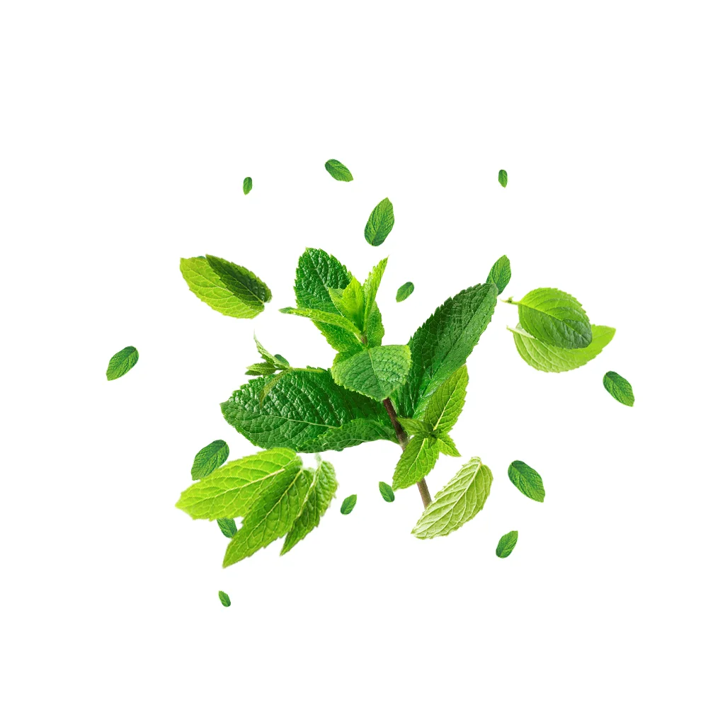 Vaping Muster Mint Mint Menthol Spearmint flavor aroma liquid concentrate usa australia