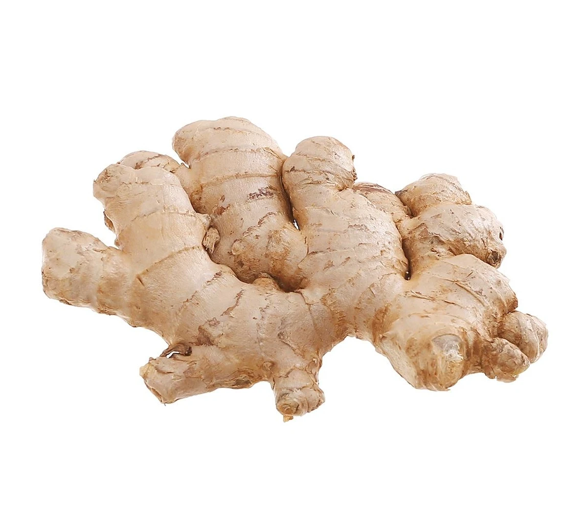 Имбирь свежего высокого качества происхождения Вьетнам сушеный имбирь Экспорт высокое качество низкая цена