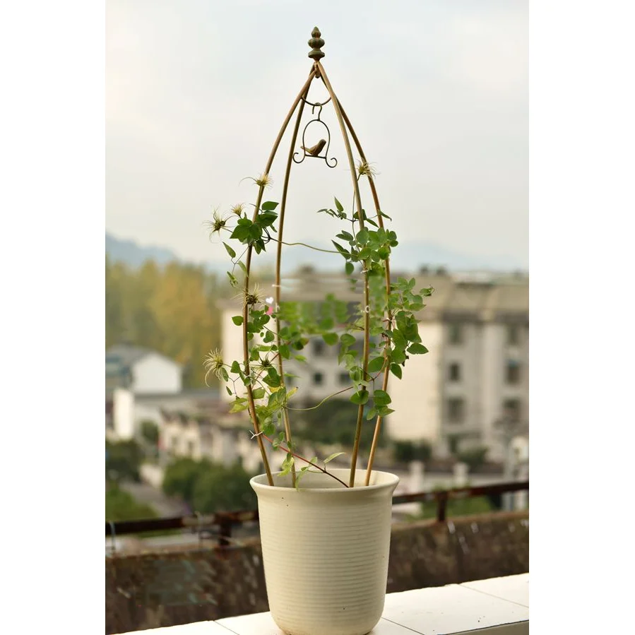 Garden metal climbing plant trellis plant stand decorative iron metal flower rack iron plant stand