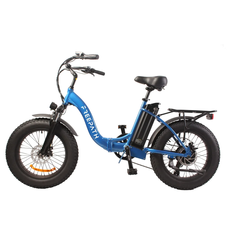 20-Inch Fat Tire Electric Bike (350W/500W/750W) Best Folding Electric Bike Bicycle