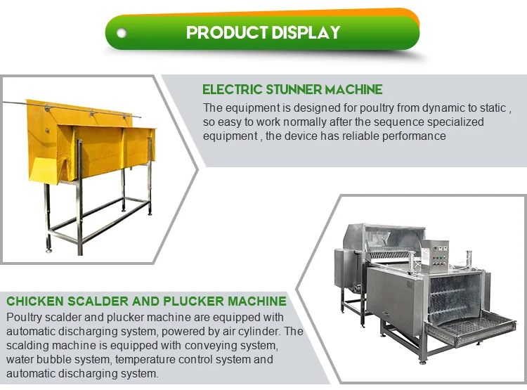 China supplier hot sell reliable complete chicken slaughtering machine