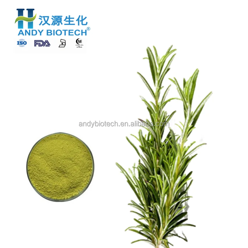 Rosemary Extract3