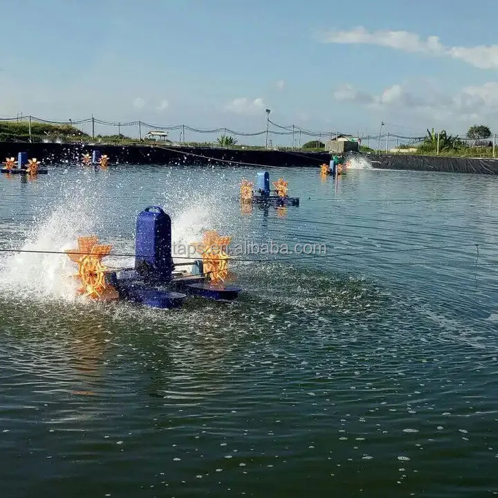 Fish Farm Pond Liner Hdpe Geomembrane 1mm 1.5mm 2mm