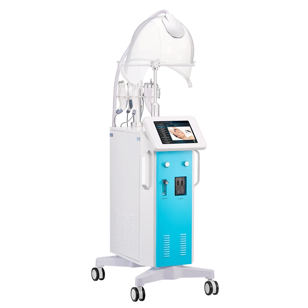 AYJ-Y19(CE) ayplus профессиональный 9 в 1 машинка для стрижки машина горячего концентратор кислорода Тайвань aqua пилинг машина