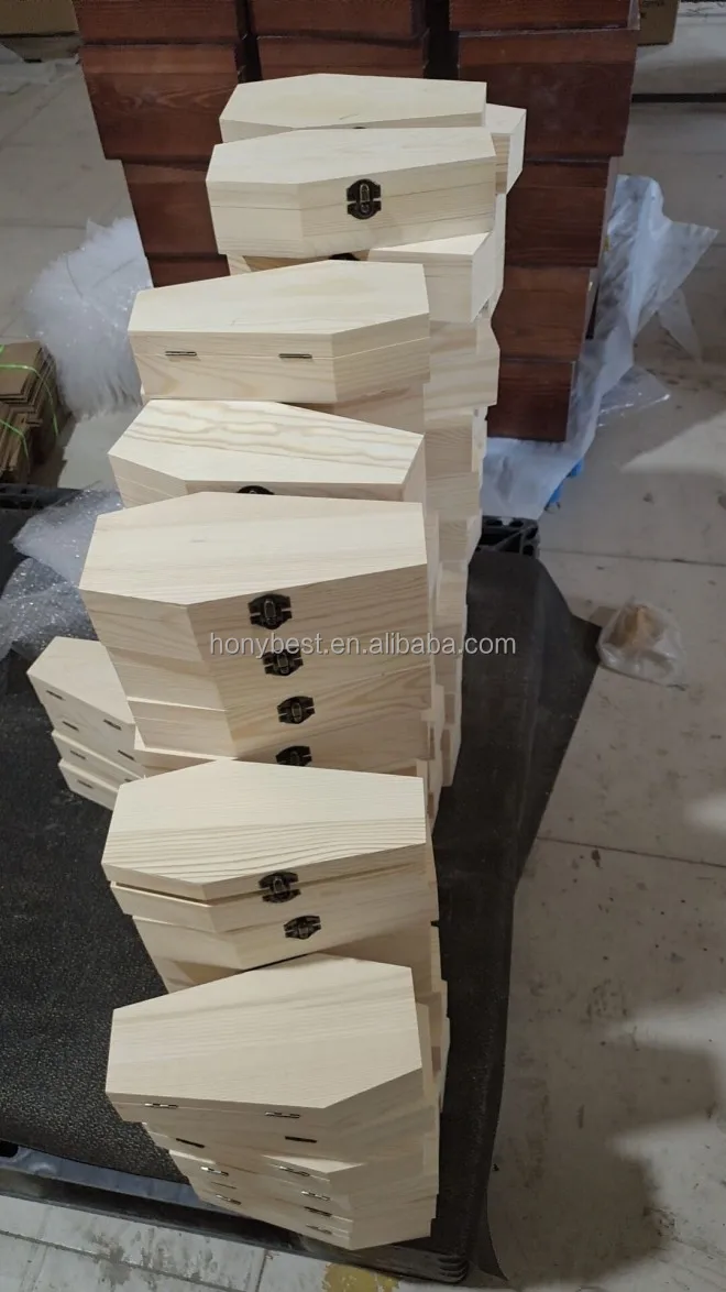coffin trunk case