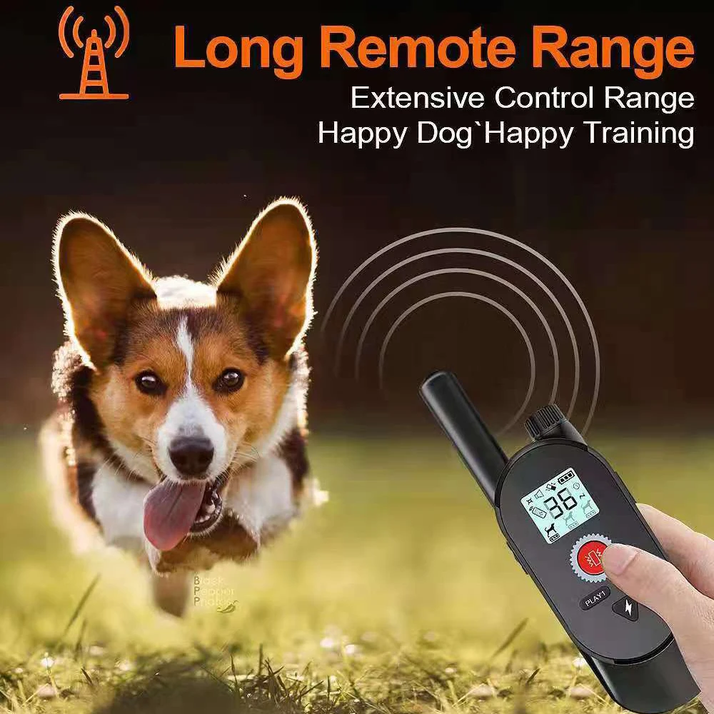 Amazon Hot selling pet training products Electronic Recording frequency Electric shock anti-barking collar for dog