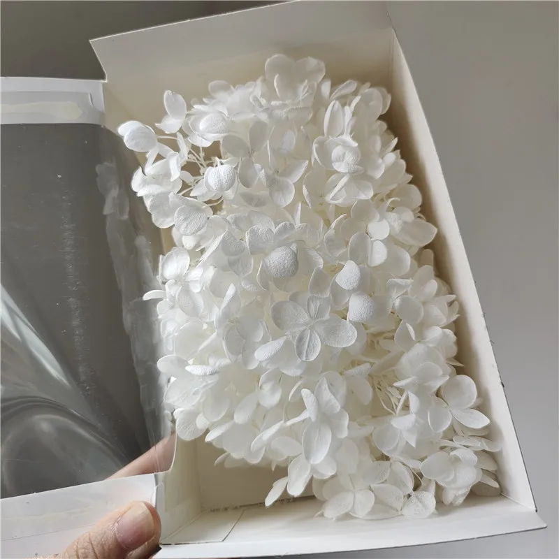 Dried Woody Hydrangea for Christmas Decorations DIY Flower Materials with Drop Glue Accessories Handicrafts
