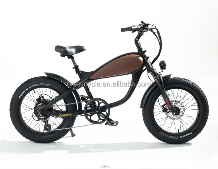 BISEK Wholesaled electric fat bicycle 20*4.0inch electric fat tire bike 48v 750w electric bike for adults