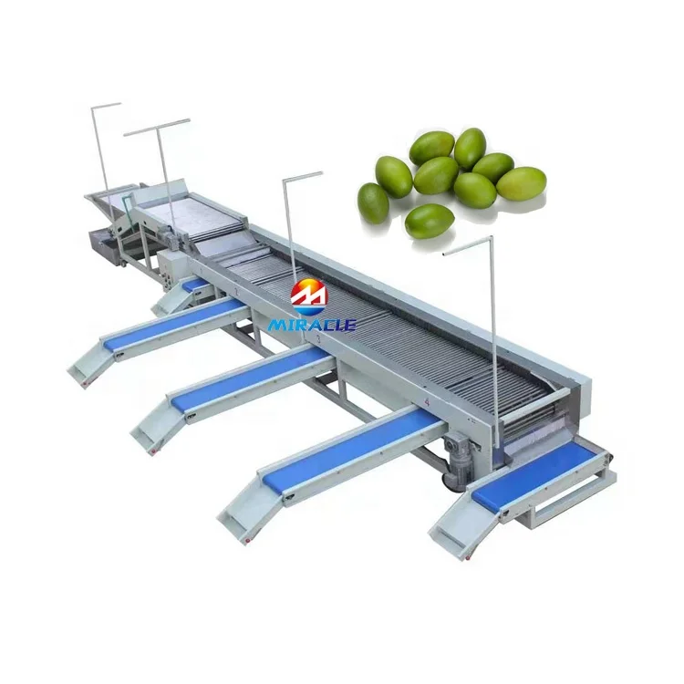Zealand Kiwi berry Size Grading Machine Kiwi berry Weight Grader Kiwi berry Size Grader