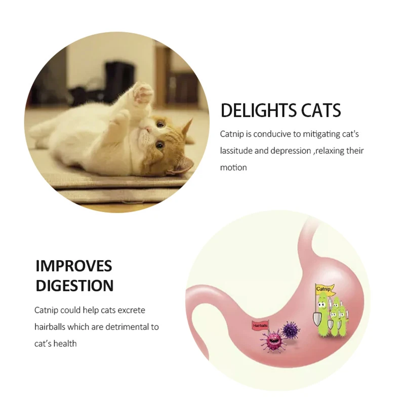 Contail catnip sugar balls/ Smart cat toys interactive ball catnip sucker catnip wall ball toys for cats mint