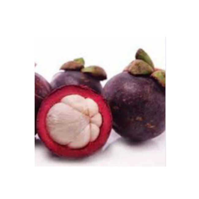 Wholesale Natural Price Buy Purple Fruit Supplier Fresh Mangosteen