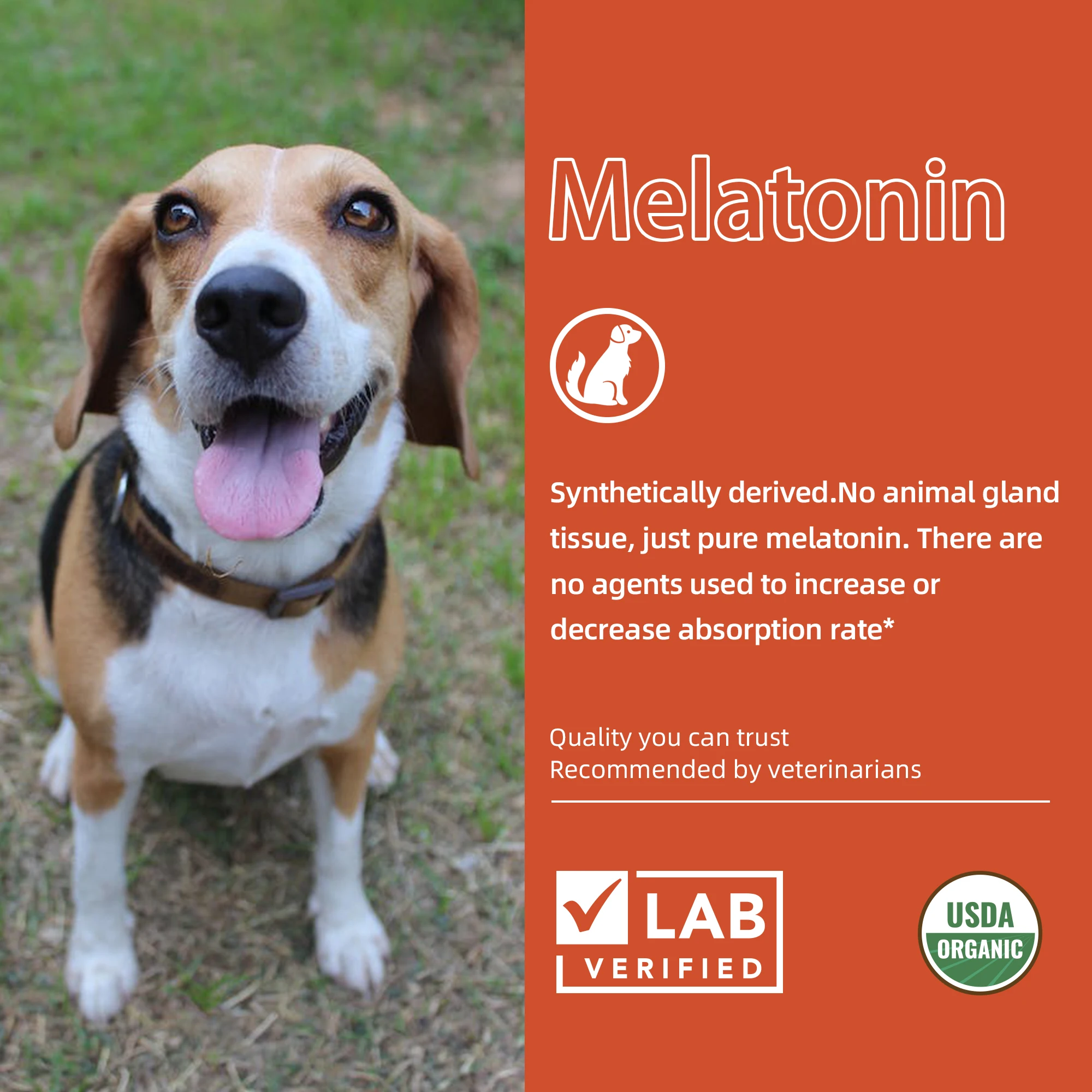 OEM ODM factory custom private label pet brain nerve sleep wholesale melatonin health care supplement treats soft chews food