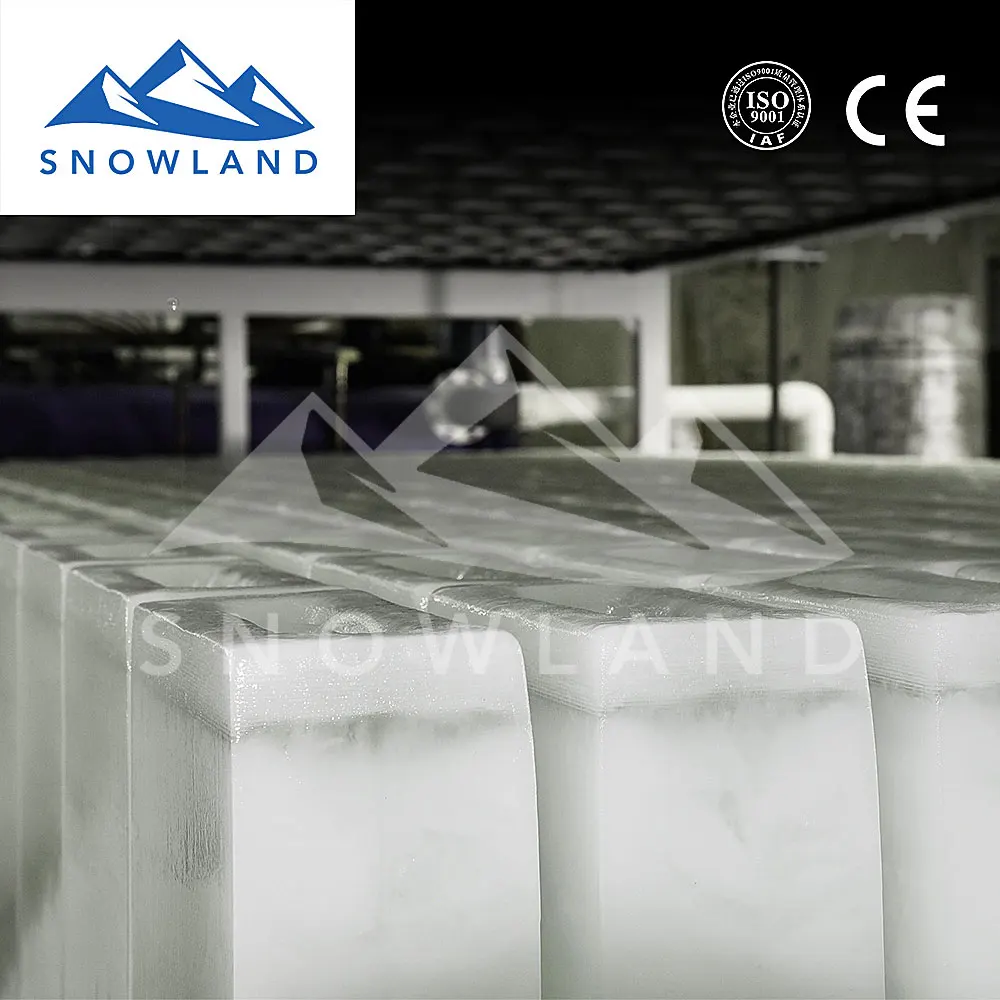 2021 SNOWLAND Opal nugget ice maker with 8 ton capacity block ice  for aquatic products