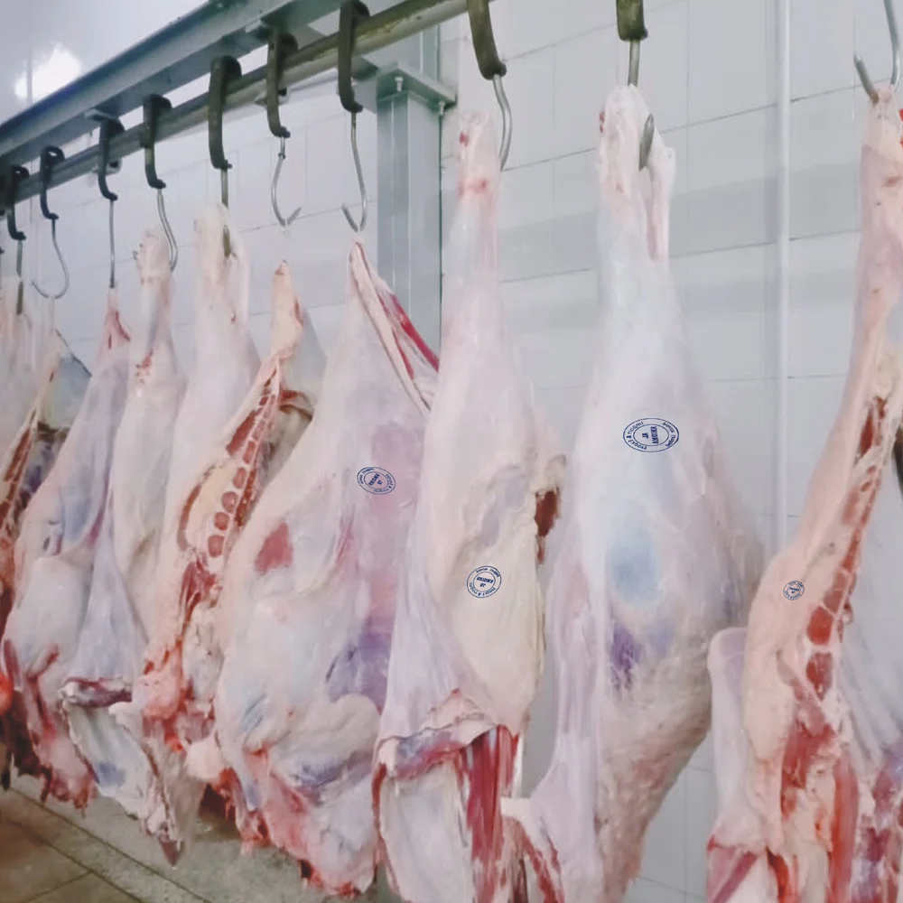 Экспортное качество, оптовая продажа/замороженное мясо, говядина, Халяль, убоя