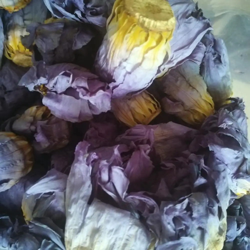 
Fragrant bake Dried blue lotus tea Nymphaea calliantha Conard flowers 