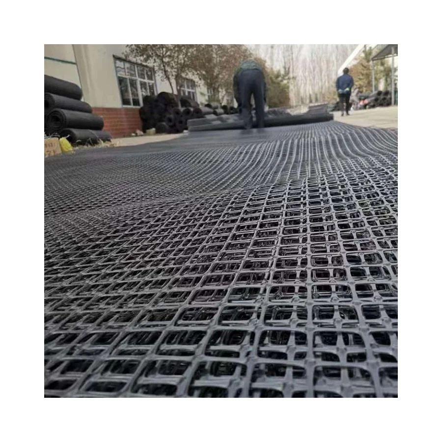 High Quality HDPE Reinforced Uniaxial Geogrid for Retaining Wall Premium Geogrids Product
