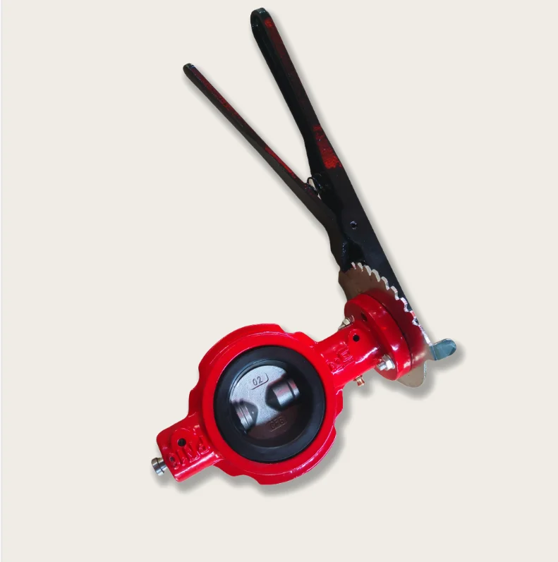 2 Inch ANSI CL150/ANSI125 Ductile Iron Ggg50 Red Color Wafer Type Butterfly Valve Suitable for American Market
