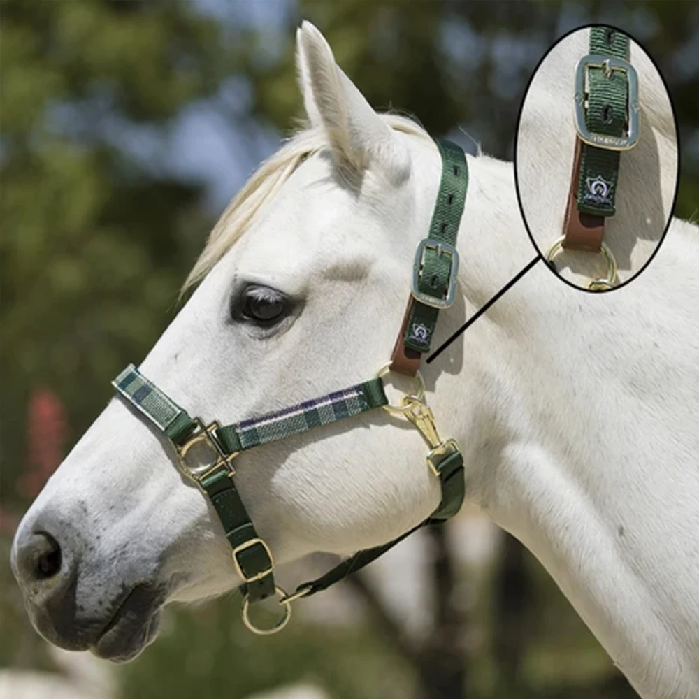 Изготовленный на заказ производитель продуктов для лошадей водонепроницаемый и прочный нейлоновый конский хомут