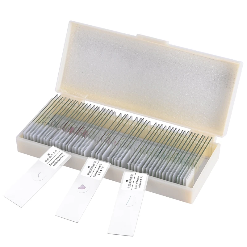 50 штук микроскоп стекло образец подготовил животные, насекомые и растения китайский/английский этикетки слайд образец биологической лаборатории OSL-808