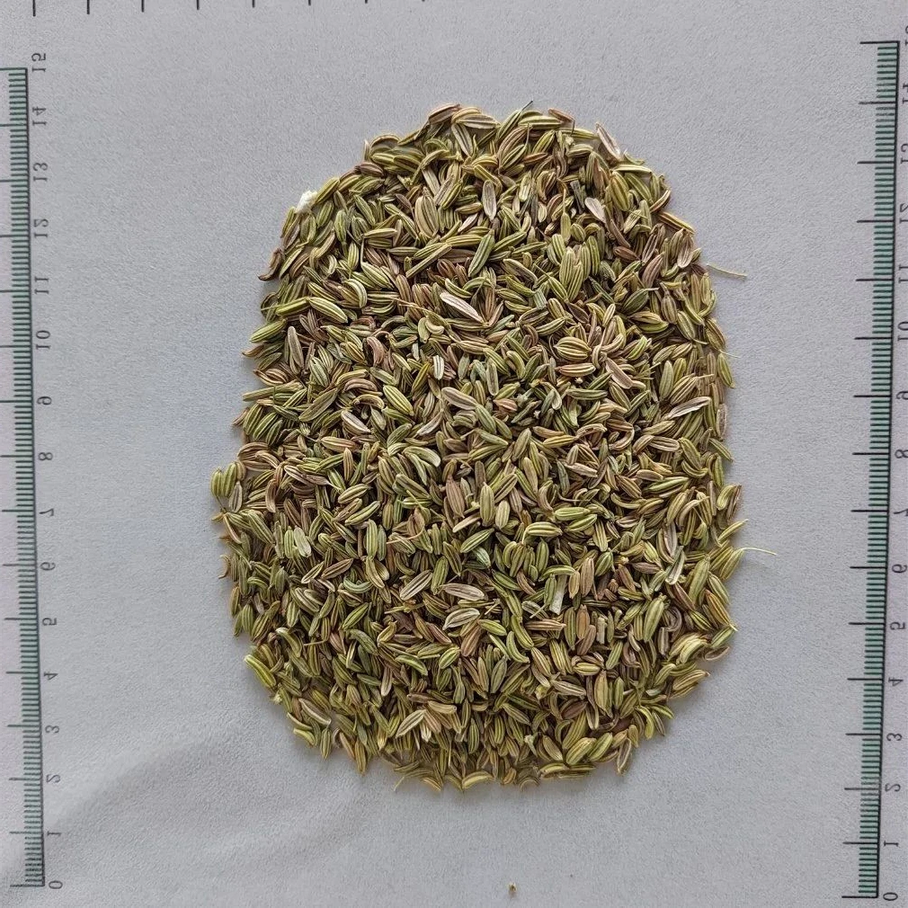 Xiao Hui Xiang Fructus Foeniculi Fennel Organic Cumin From China