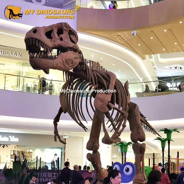 My Dino Museum Educational Dinosaur Skeleton Allosaurus