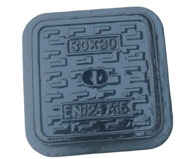 SMC/BMC plastic drain cover