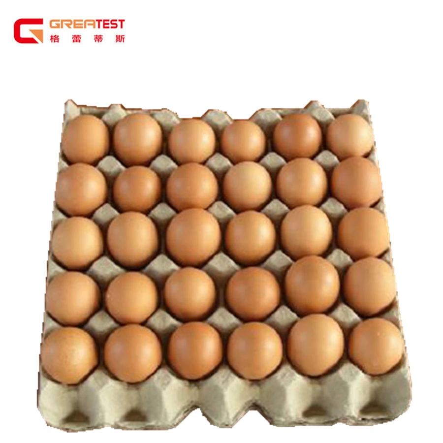 100% Eco-Friendly and Biodegradable Customized Paper Pulp Packaging