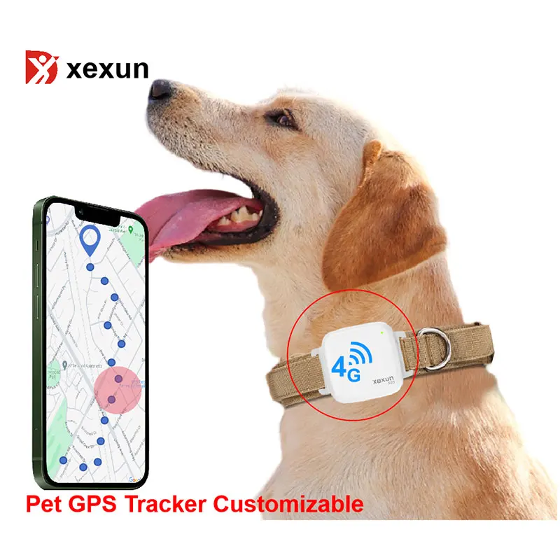 Xexun Free Software Platform Cheap Waterproof Gps Tracker Gps Tracking Collar Global GPS Tracking Device Locator for Dog Cat Pet