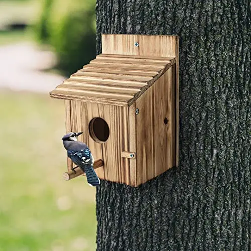 Custom carbonized pine solid wood feeding terrace outdoor sanctuary aviaries for birds aviary outdoor bird cage bird aviary