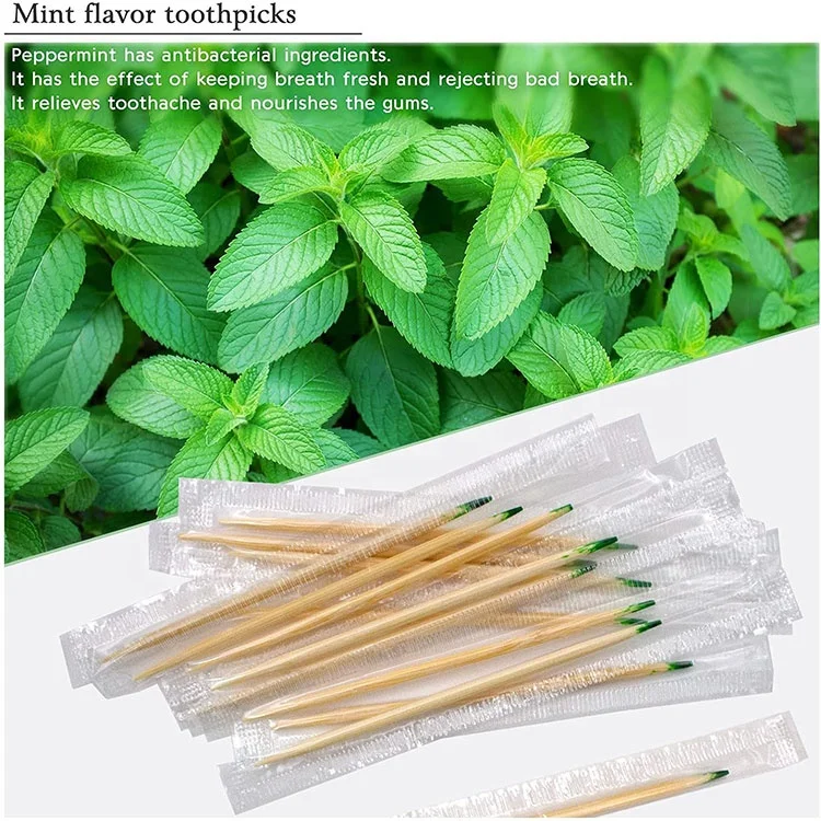 2.5 Inch Individually Cello Wrapped 1000pcs Pack Food Picks with Flavor Bamboo Mint Toothpicks