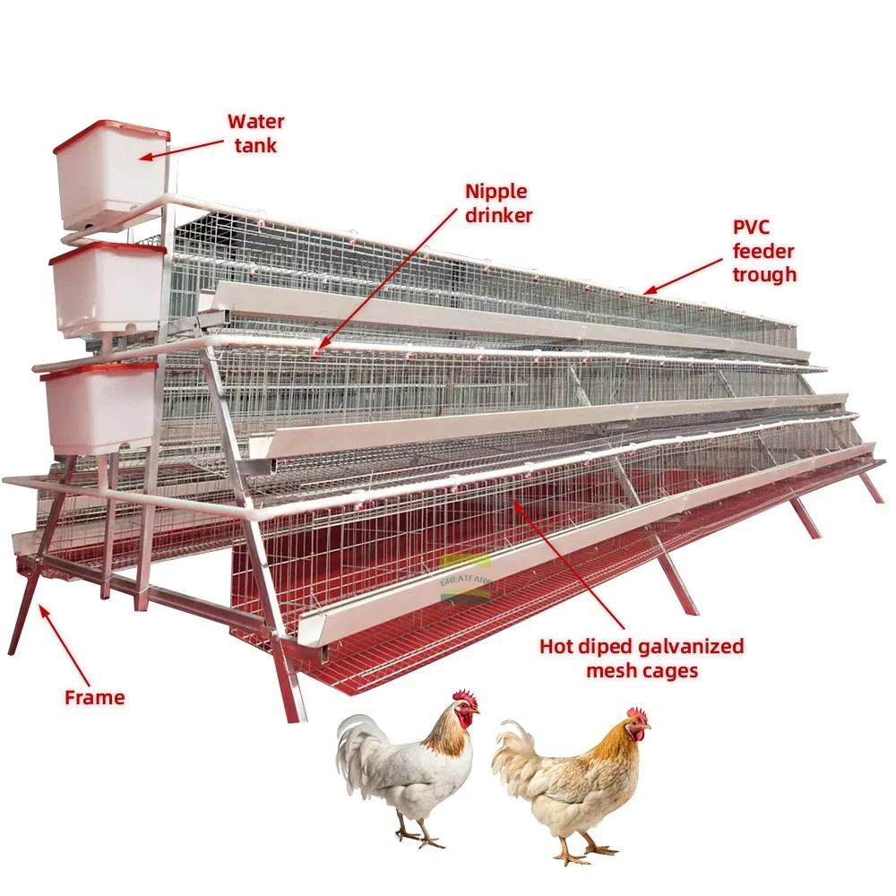 Hot Dip Galvanize Steel 4-tier A Type Chicken Layer Cages Automatic Feeding Equipment With Egg Laying System