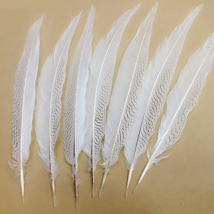  25-30cm silver pheasant tail