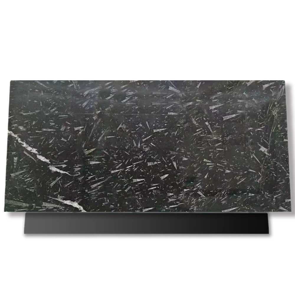 Creative Stone Slab Conch Fossil Black Marble slabs white pattern Black Marble slab for bathroom countertop