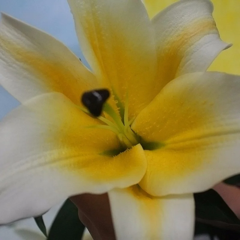 Natural Real Touch Lilium Yellow Lily For Cut Flower Wholesale
