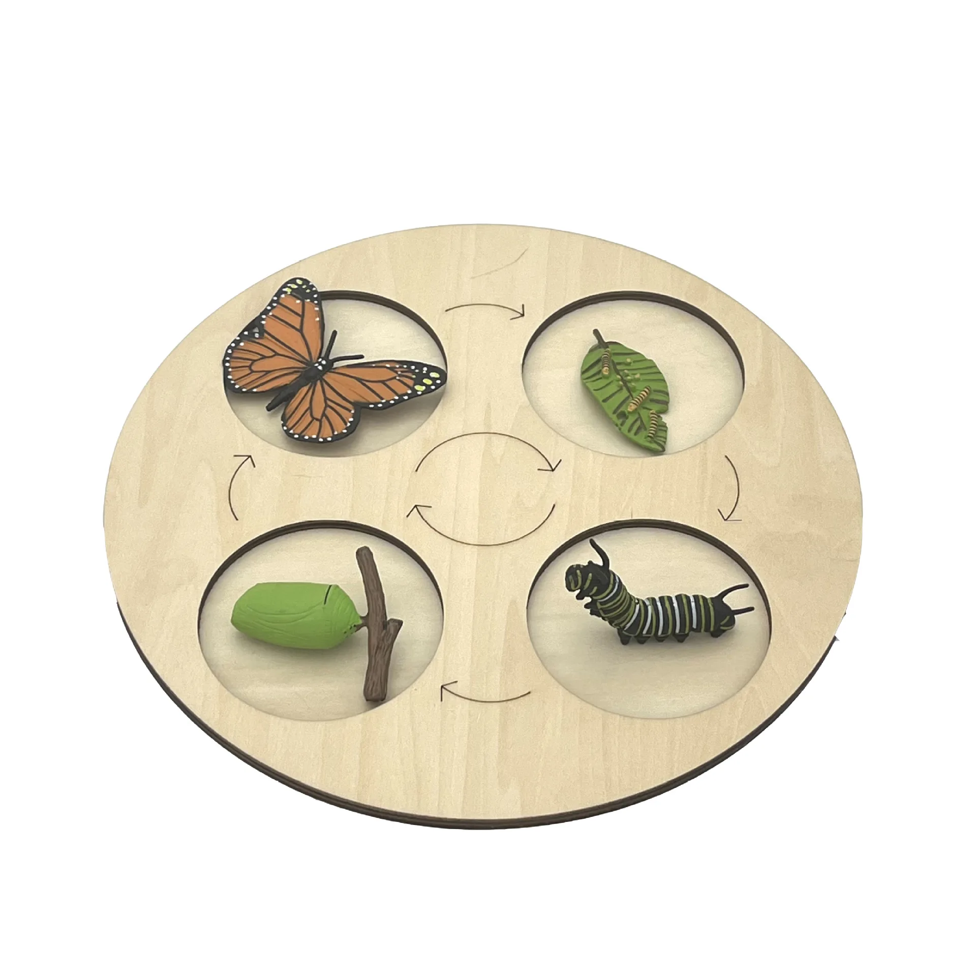 Моделирование Монтессори с логотипом