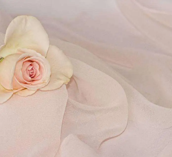 100% Poly georgette fabric with fine soft finish