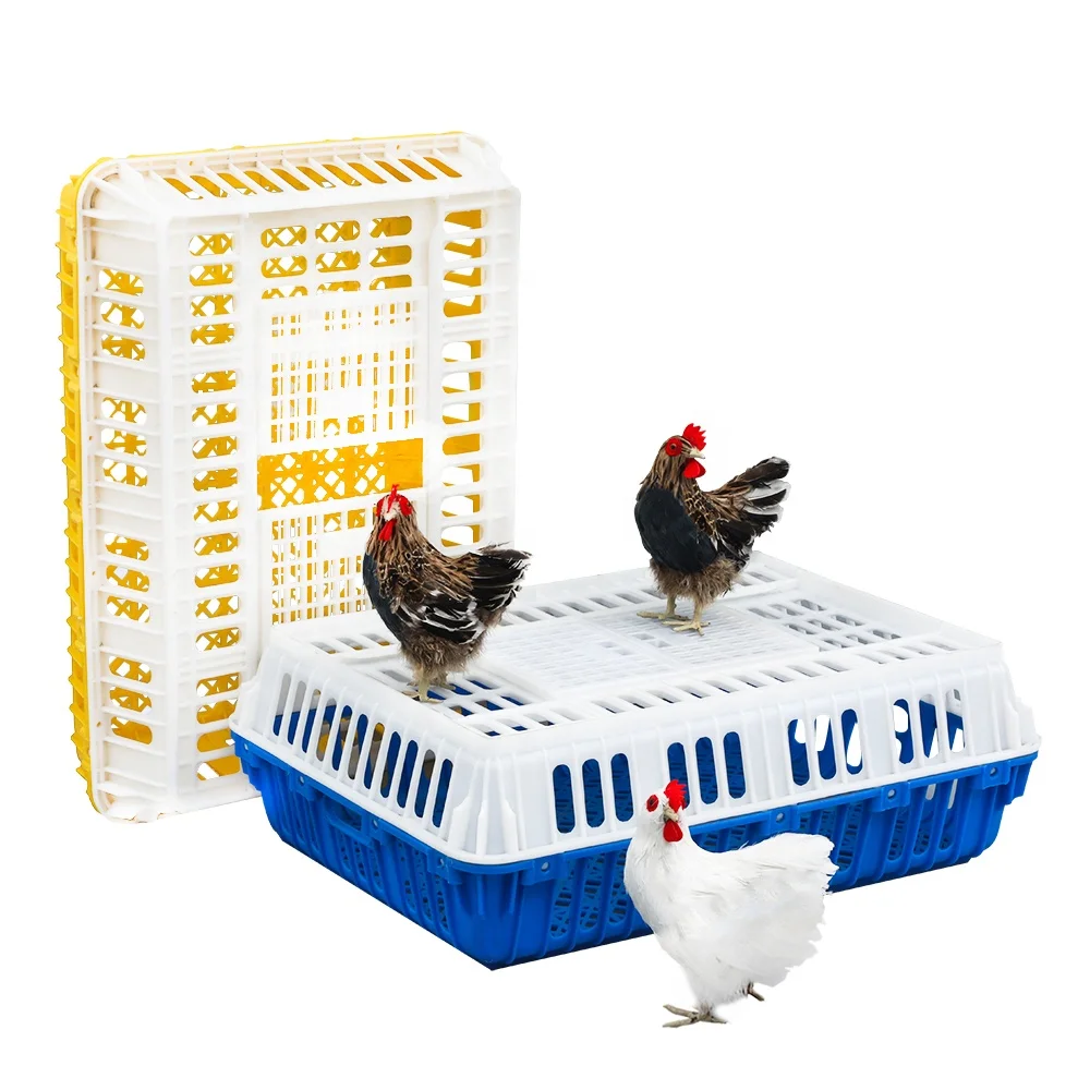 China manufacturer supply big capacity sturdy open top door Plastic live chicken transport crate / cage