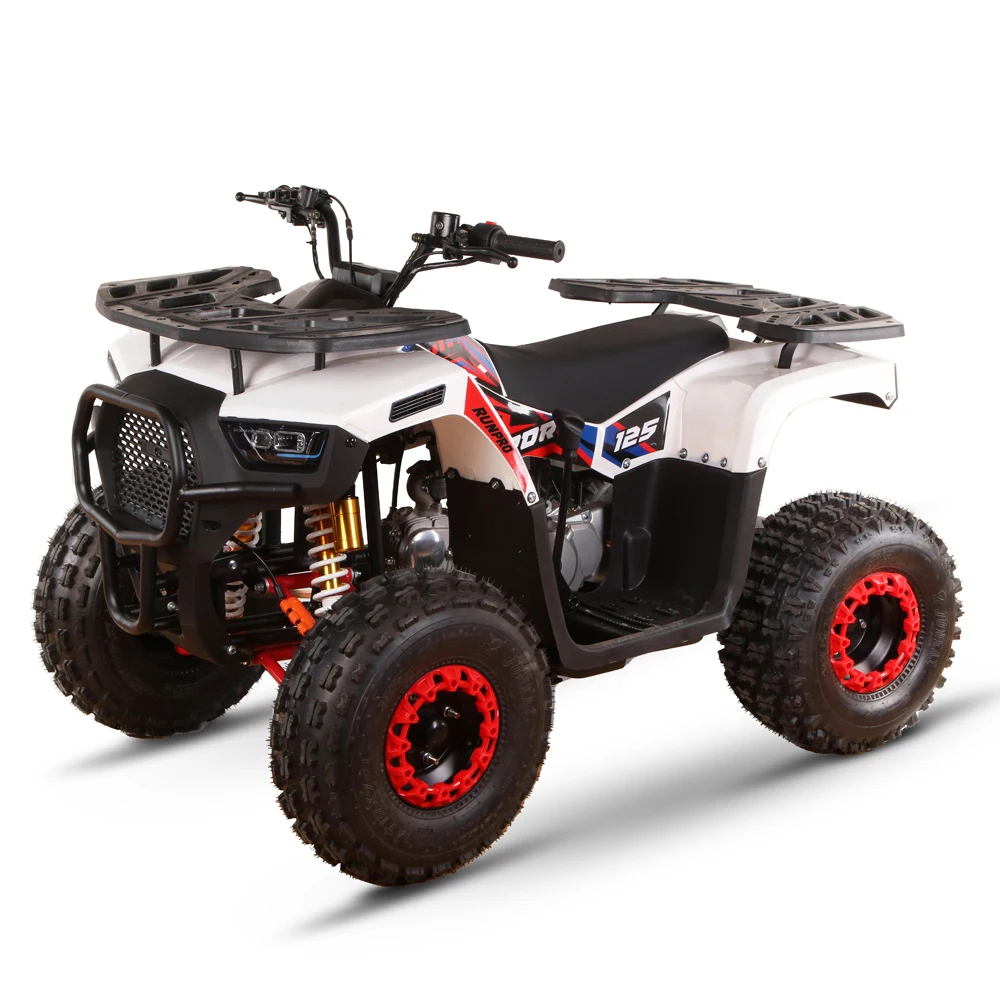 125cc 110cc 4 stroke mini  quad epa adult atvs 4 wheeler ATV for kids/teenager buggy atv
