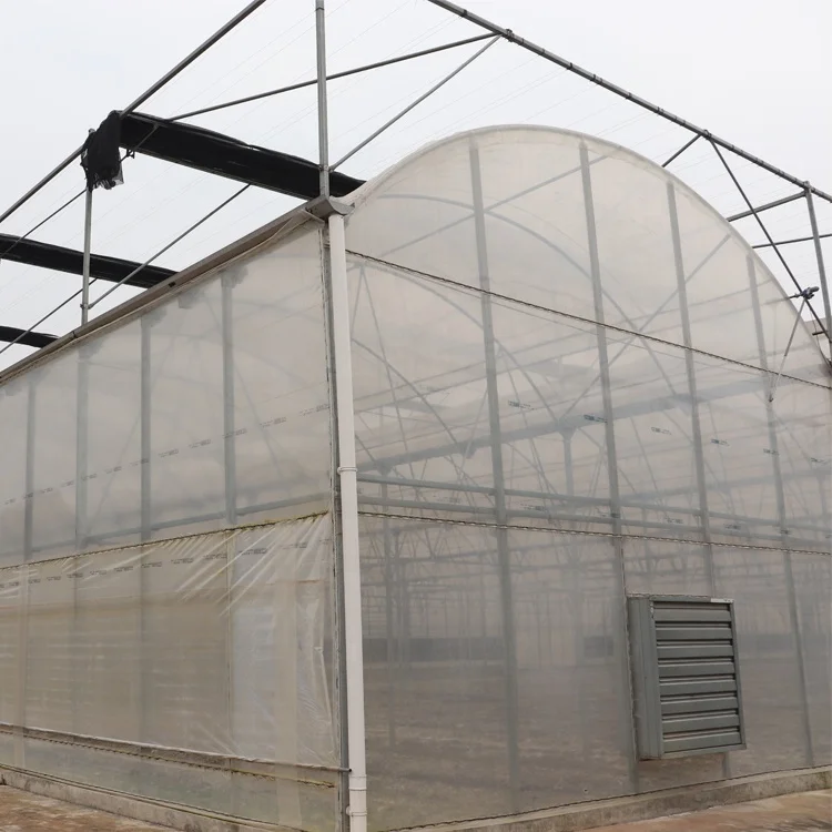 MYXL China Economic Plastic Film Green Houses Plastic Metal Frame Agriculture Commercial