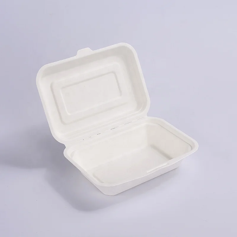 eco friendly lunch box bagasse