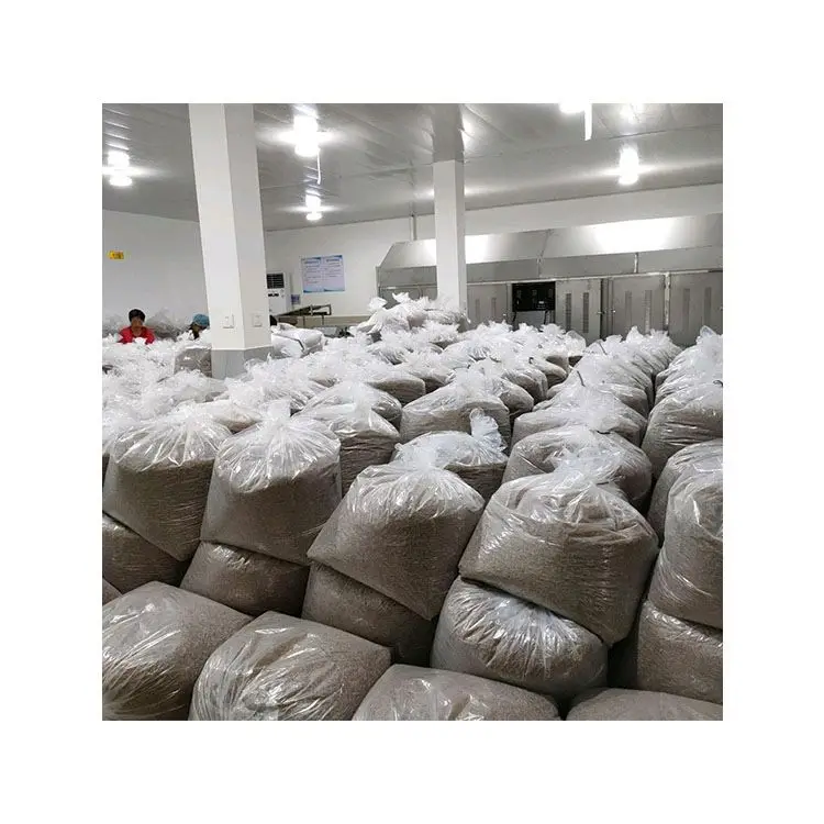 Super Quality high nutrition high protein custom Canned dry mealworm