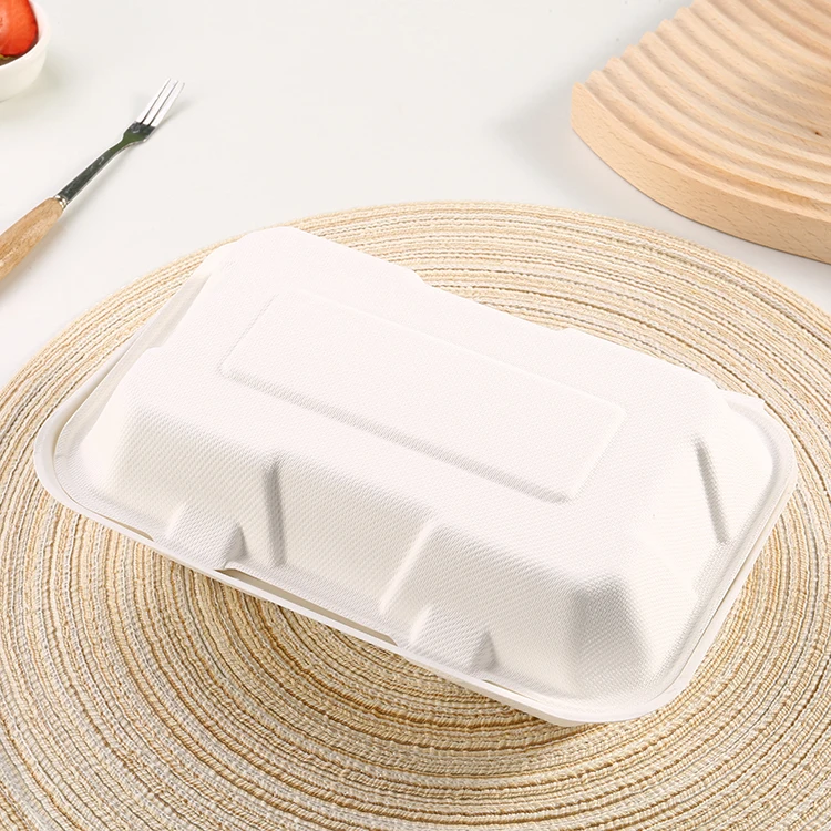 Wholesale Safety Custom Ecopack Box Disposable Biodegradable Paper Pulp Packaging Food Lunch Box with Lid