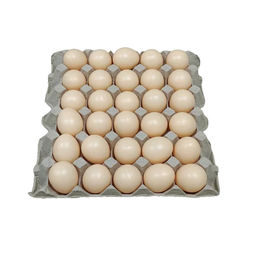 Biodegradable egg carton empty 30 cells tray box packaging for chicken egg