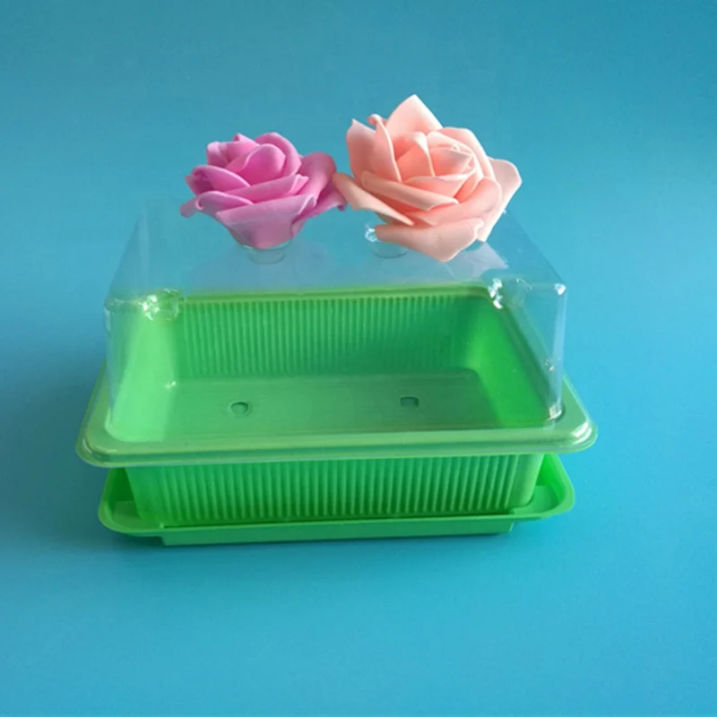 New Arrival Vegetables 10X20 Seed Sprouting Tray