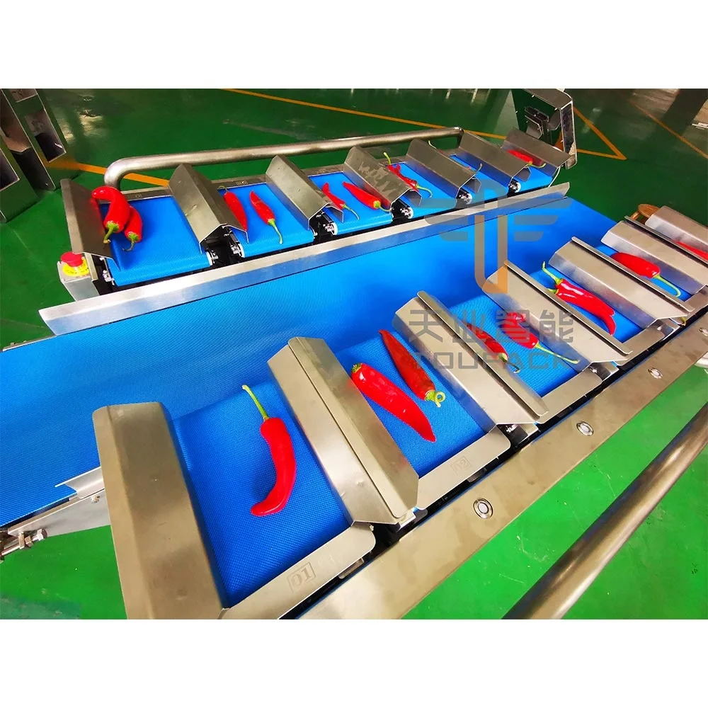 Automatic 12 Head Belt Weigher for Fruits and vegetables combination scales